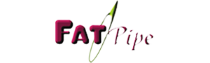 Fatpipe ProtektNet