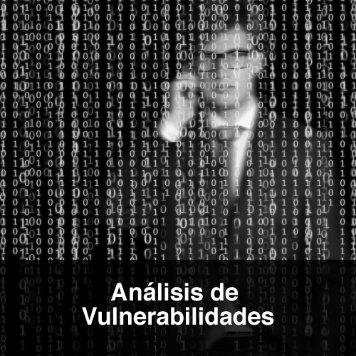 Análisis de Vulnerabilidades ProtektNet
