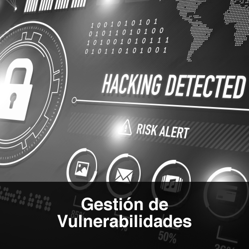 Gestión de Vulnerabilidades ProtektNet