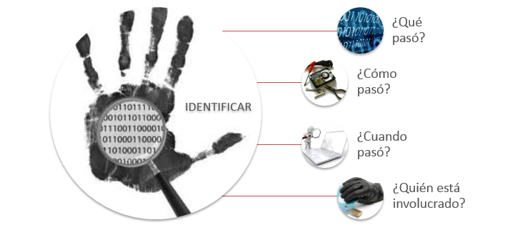 Cómputo Forense Beneficio ProtektNet