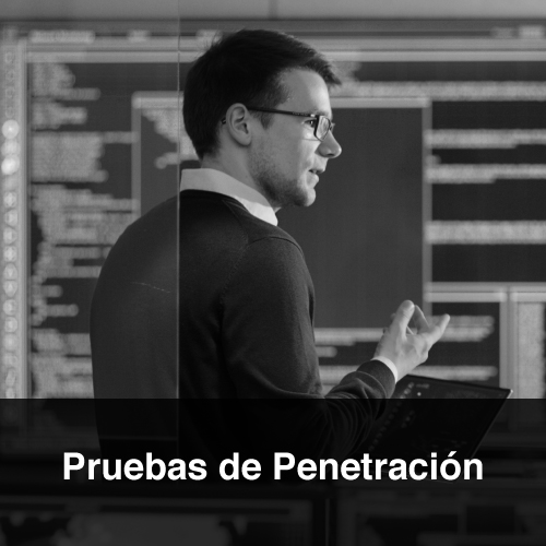 Pruebas de Penetracion ProtektNet