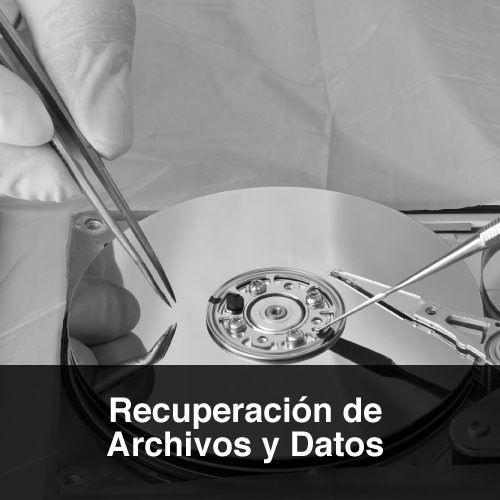 Recuperación de Datos y Archivos ProtektNet
